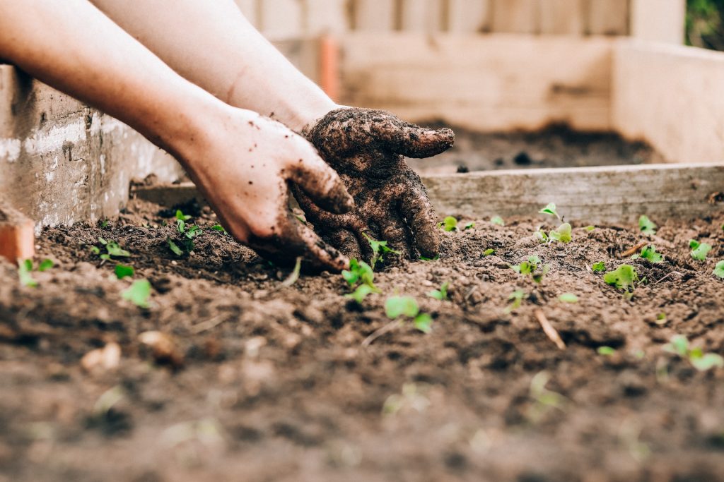 self care mental health gardening